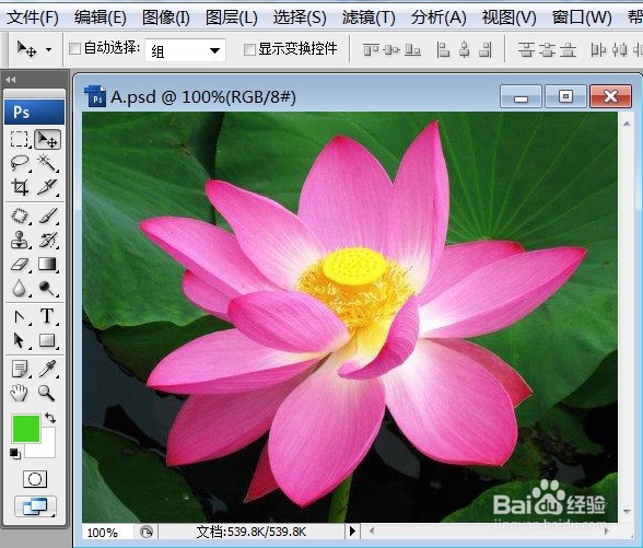 PS怎么让图片呈现减少杂色的效果
