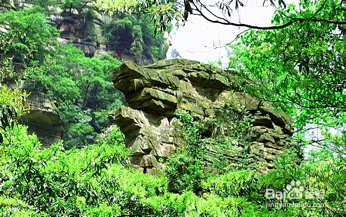 张家界旅游怎么选择旅行社