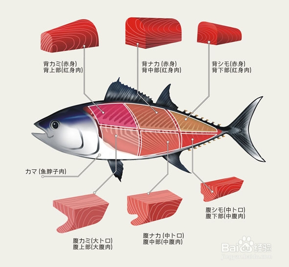 夏季女生减肥方法：四种减肥食物 吃货越吃越瘦