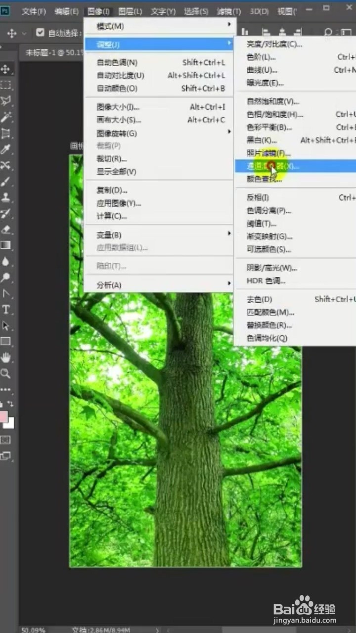 如何将春天的树变成秋天的树?