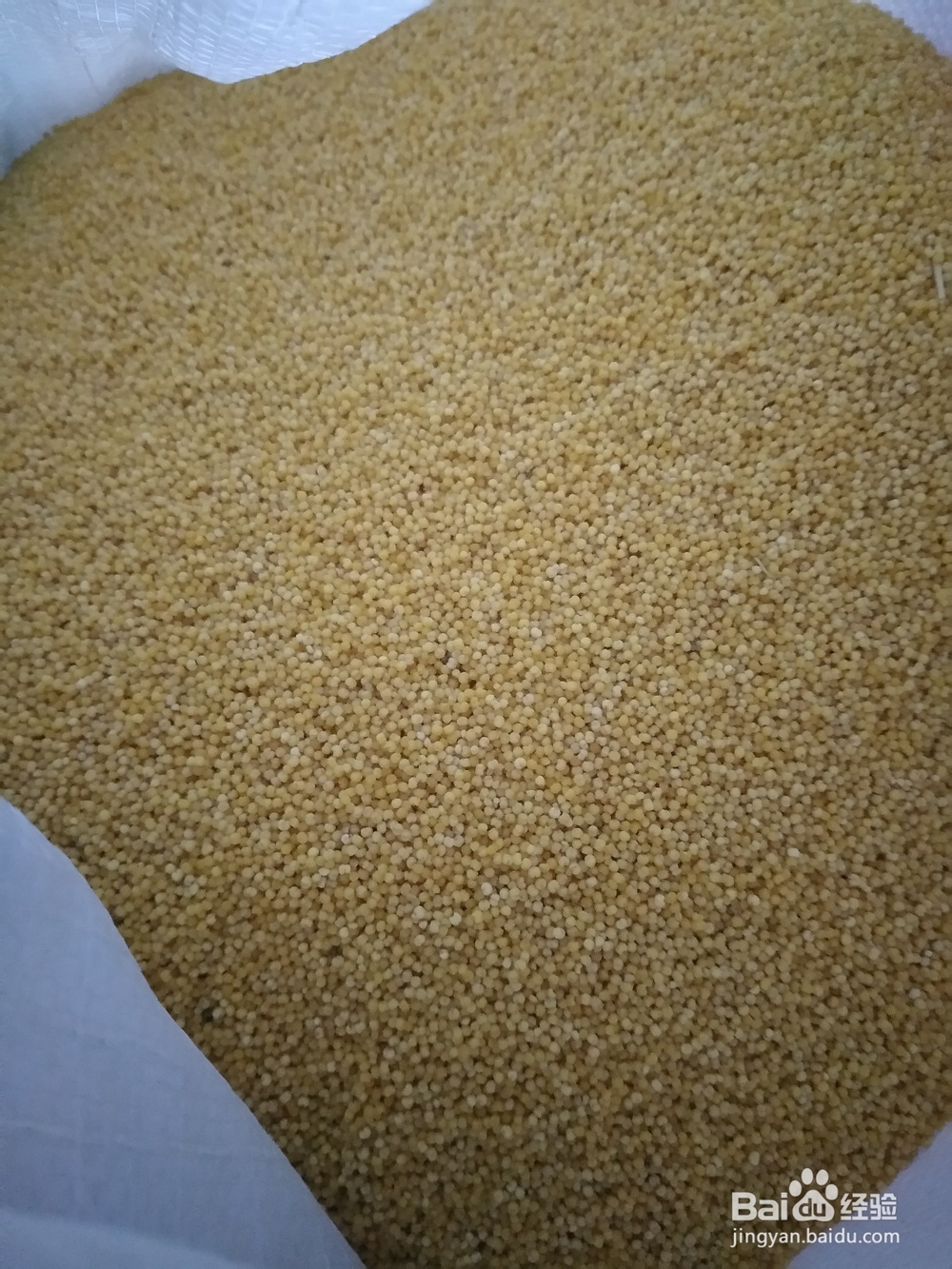 自己动手捞小米饭