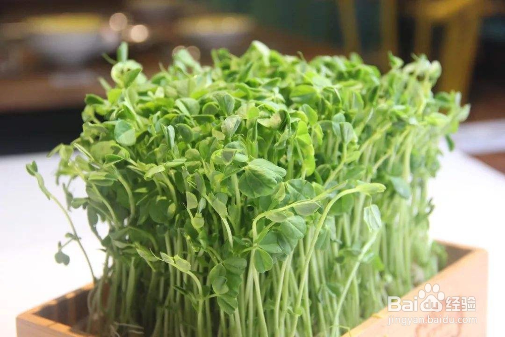 消肿瘦脸的食物有哪些