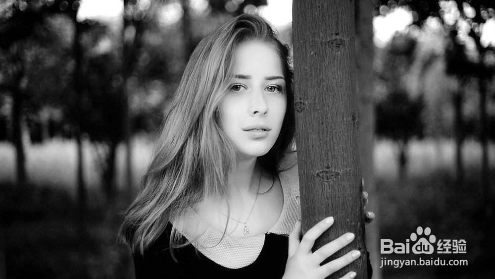 长焦镜头拍摄技巧