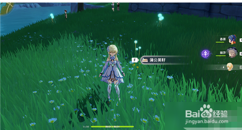 原神蒲公英籽采集方法