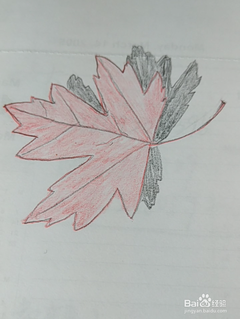 简笔画：红色枫叶画法