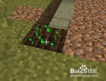 我的世界怎么找到马，怎么喂马？