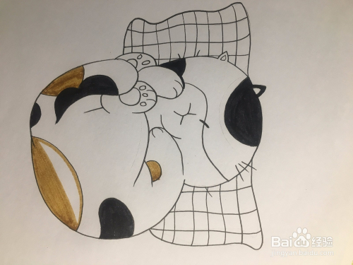 画一只蜷缩着枕着枕头睡觉的花色猫咪 彩色涂鸦