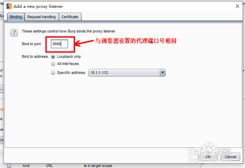 使用Burp Suite抓https数据包