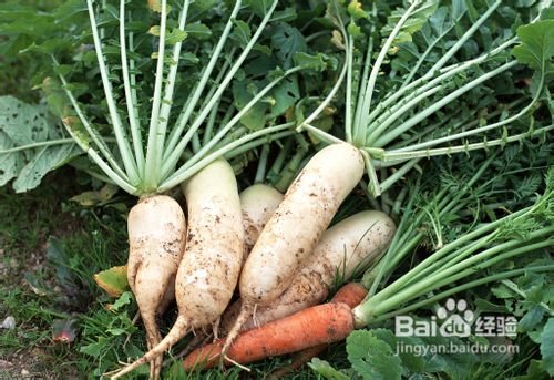 孕妇感冒怎么办