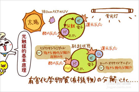 去除甲醛最全最常见方法测评