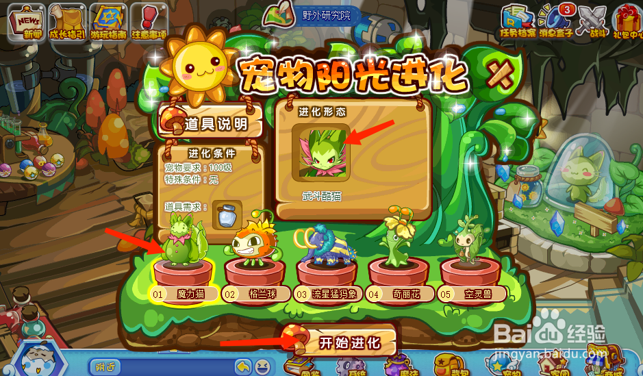 魔力猫超进化的地点在哪