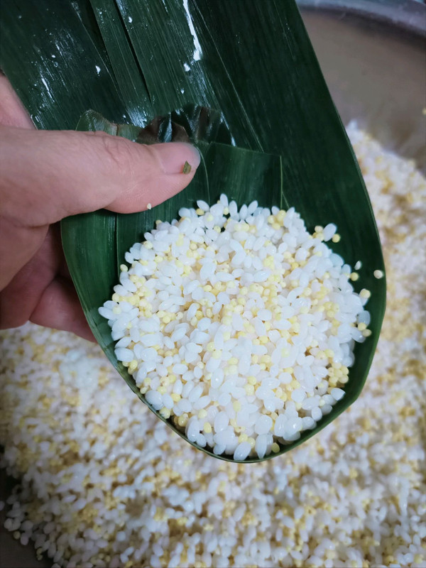 大黄米糯米蜜枣粽