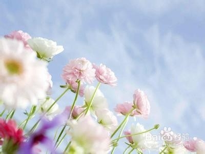 如何做最精彩的自己