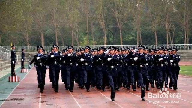 新高考怎么去选科