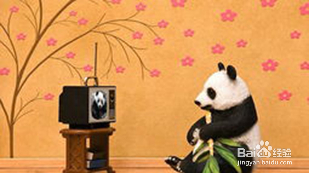 一岁以下宝宝应该玩什么玩具