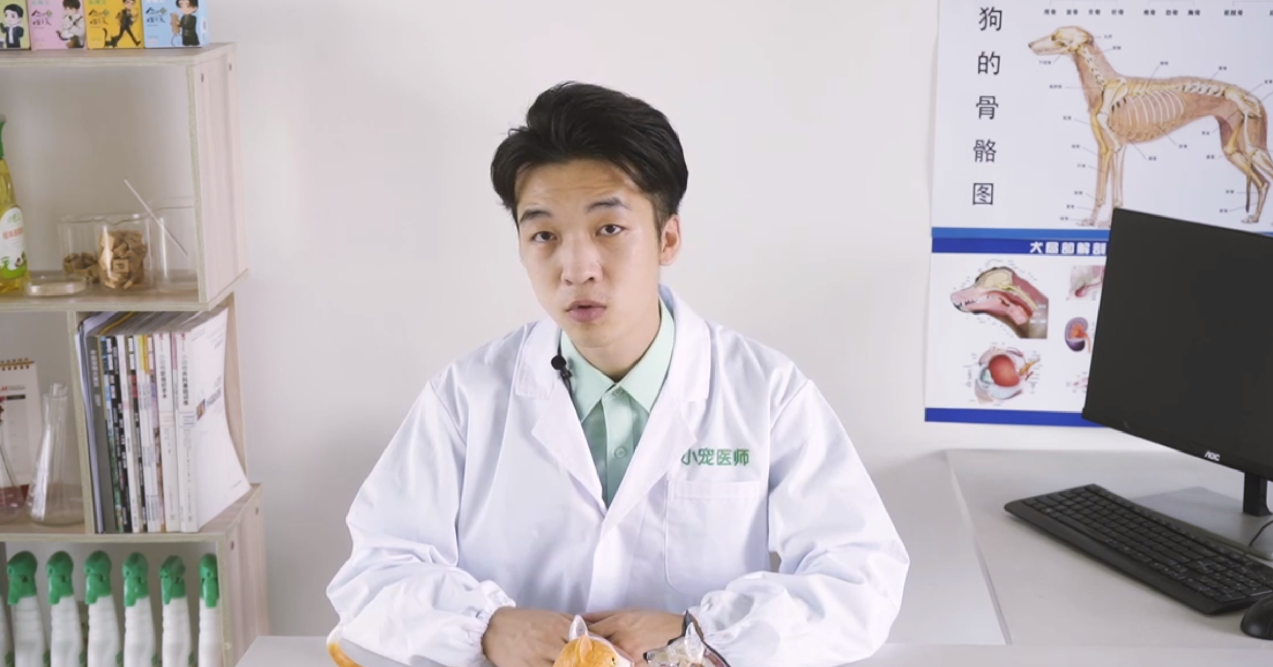 狗狗绝育的利与弊