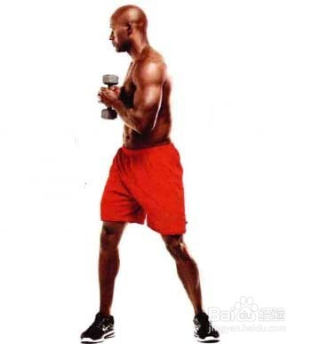 男性健身房腰部减肥增肌计划