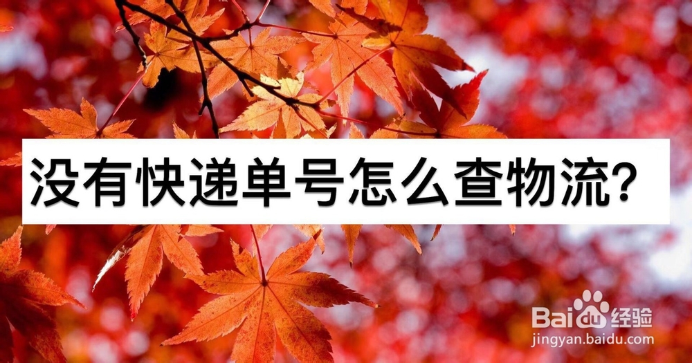 没有快递单号怎样查物流?