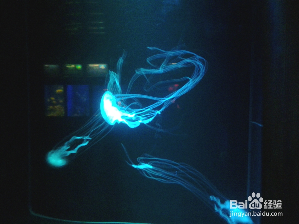 北海银滩自助游