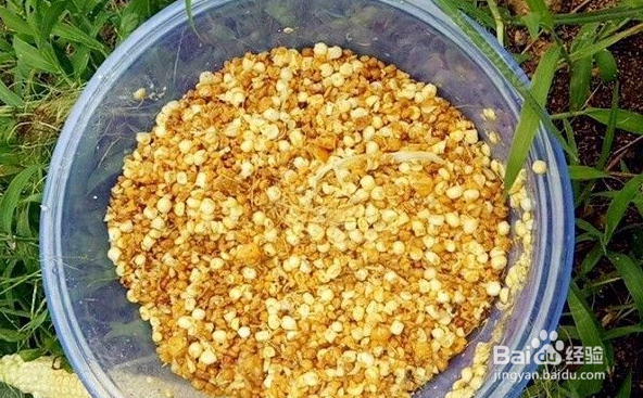 10月份水库钓鱼攻略