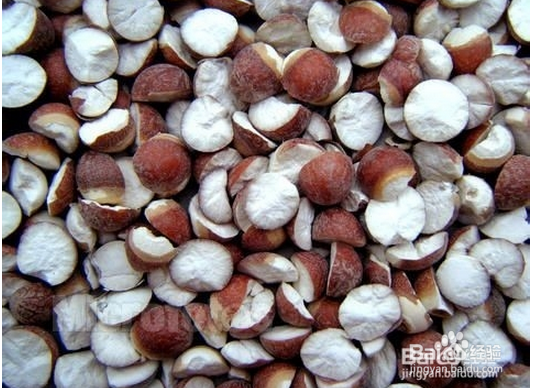 肾是我们最重要的部位之一，怎么可以补肾？