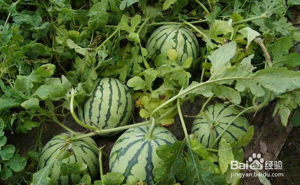 长沙周边好的农家乐