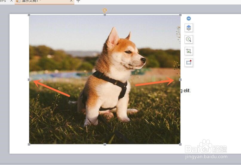 怎么把PPT图片放大到幻灯片大小？