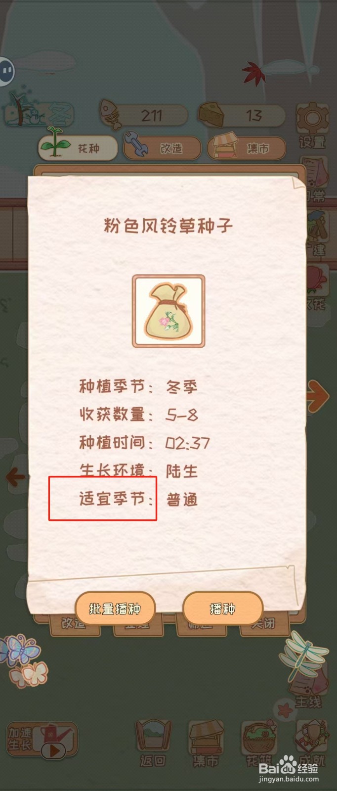 花店物语如何查看粉色风铃草种子的适宜季节