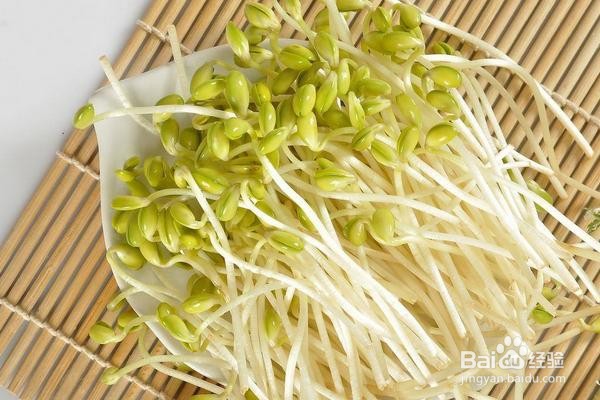 绿豆芽有什么要注意的饮食宜忌?