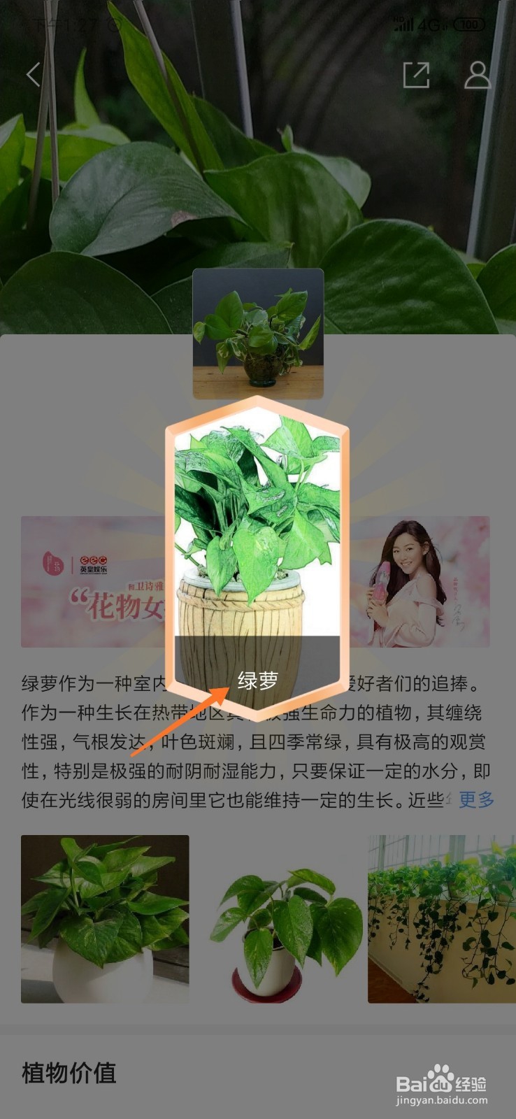 QQ浏览器的扫一扫功能怎么用