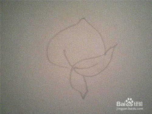 简笔画仙桃的画法