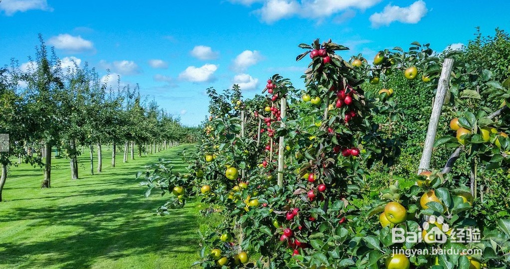 怎样进行日常皮肤保养？