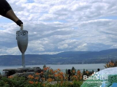 出国游应当注意哪些事项