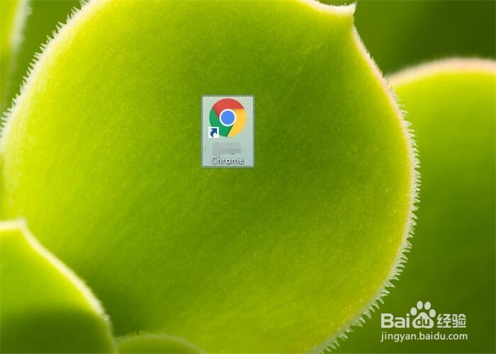 电脑Chrome浏览器怎么清除浏览数据