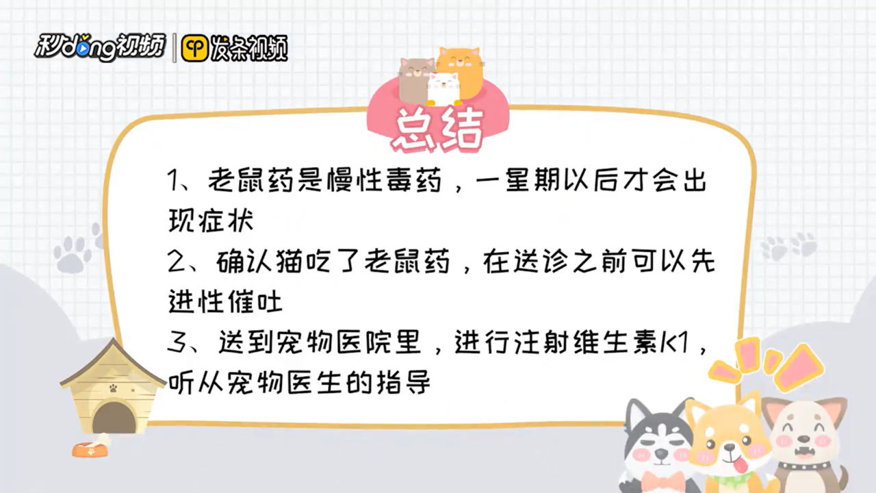 猫吃了老鼠药怎么解救