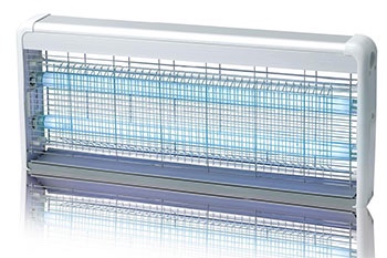 下水道生小飞虫怎么处理
