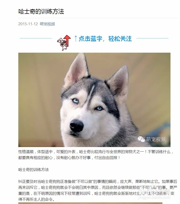 哈士奇训练教程