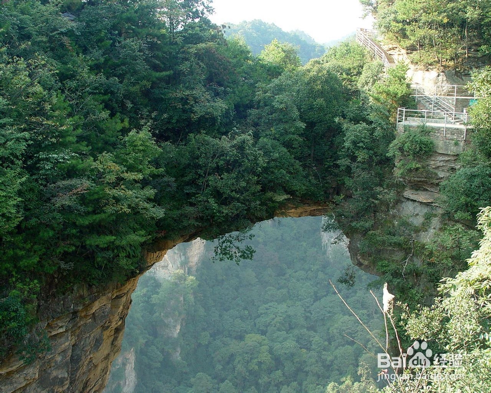 张家界最佳旅游时间-张家界最佳旅游季节