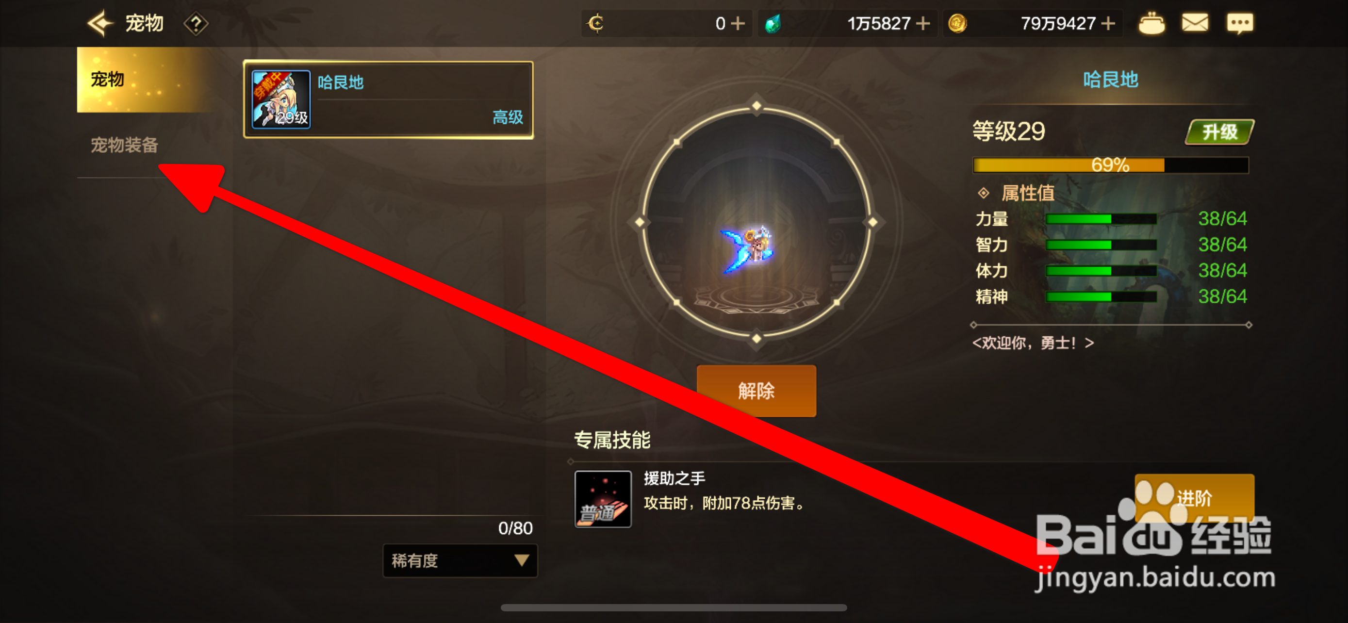 DNF手游宠物装备佩戴攻略