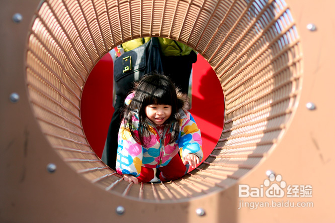 美国社区儿童乐园钻猪笼(组图)