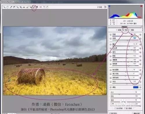 摄影后期处理教程