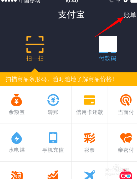 支付宝10年账单在哪，支付宝十年账单查询方法