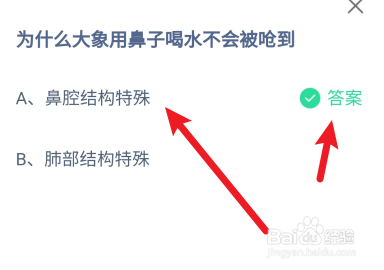蚂蚁庄园答案为什么大象用鼻子喝水不会被呛到