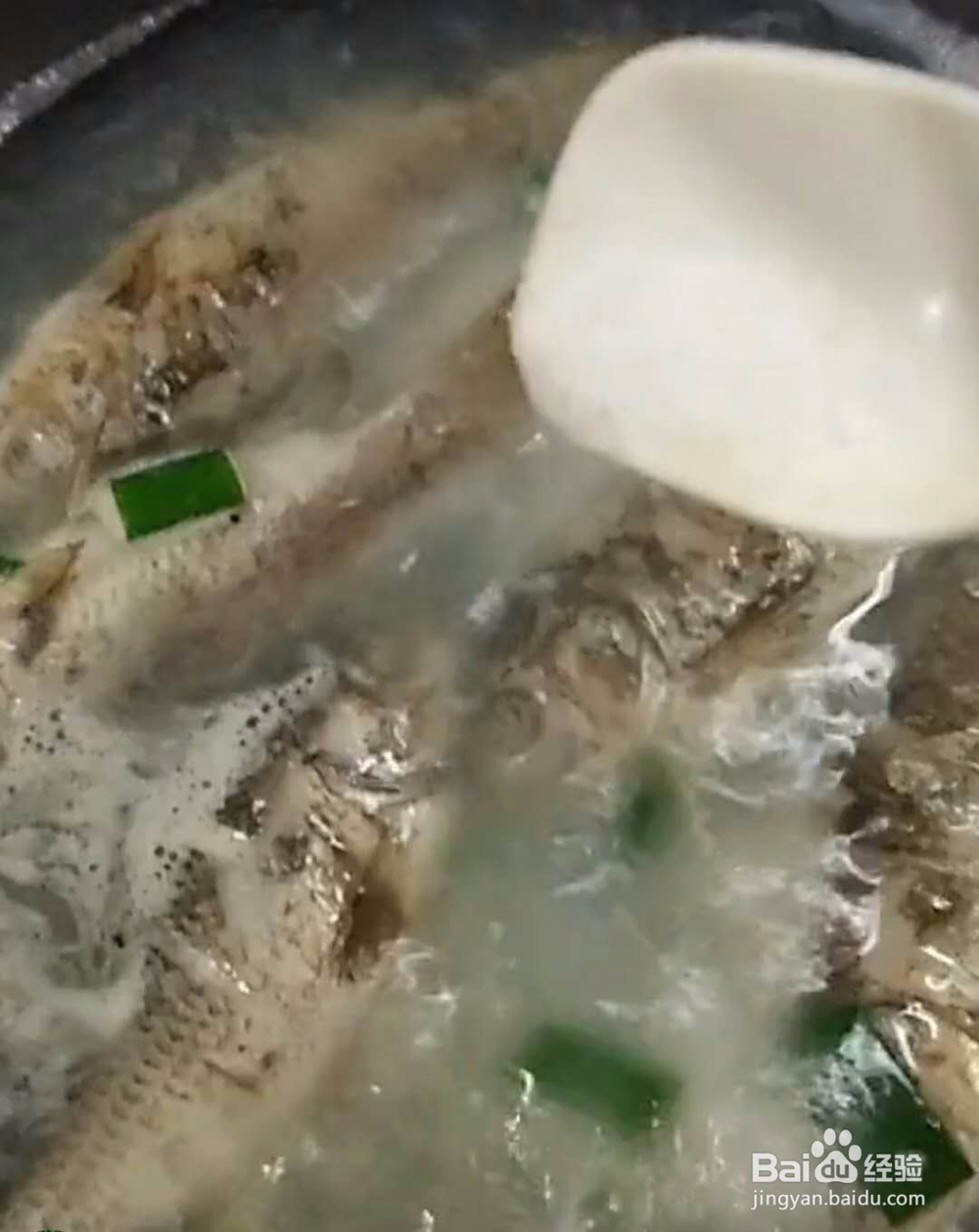 鲫鱼煲汤教程