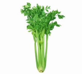 难吃的菜其实是养生高手