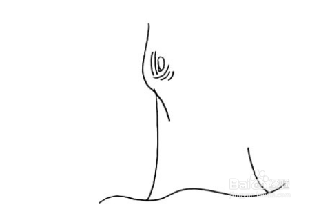 学画柳树简笔画