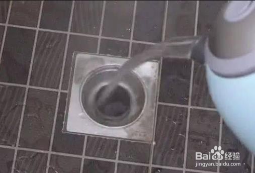 你可知道卫生间有小飞虫怎么根除吗？