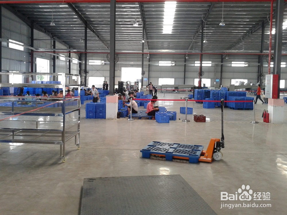 金银花烘干机的生产效果金银花热泵烘干机的应用