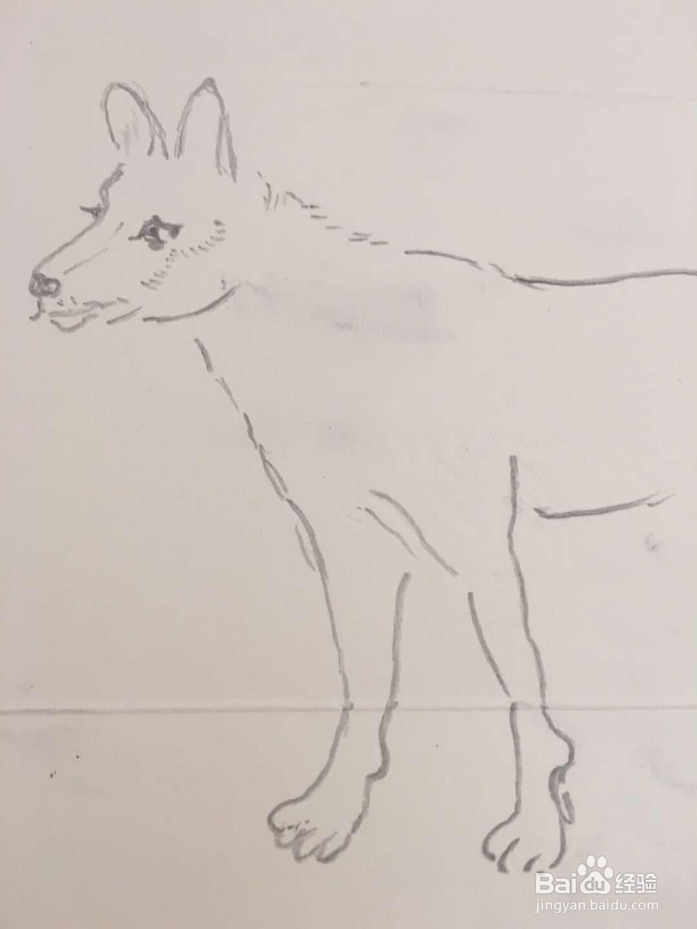怎样画狗的简笔画 十二生肖之十一