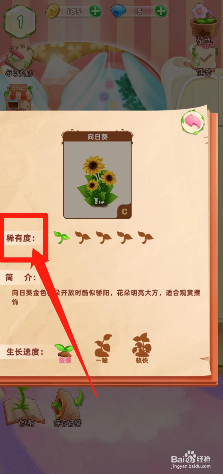 花花姑娘之魔法花园如何查看向日葵稀有度